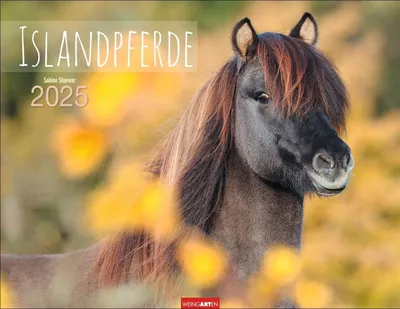 Produktbild von Islandpferde Kalender 2025