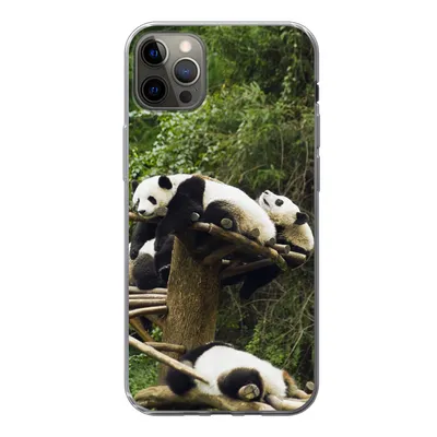 Produktbild von MuchoWow® Handyhülle Schutzhülle Hülle für iPhone 12 Pro Max Pandas - Holz - Treppe Silikon Softcase Handy Hülle - Hartschale