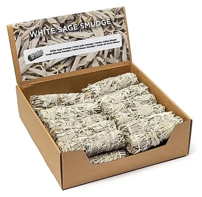 Immagine prodotto di Salvia bianca Smudge S, confezione da 24 pezzi -- ±30–40 g, ±11×3 cm: acquista online