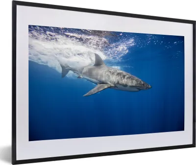 Produktbild von MuchoWow® MuchoWow® Gerahmtes Poster Hai - Meer - Wasser 60x40 cm - Poster mit zchwarzem Bilderrahmen - Schlafzimmer - Plakat in Rahmen - Drucken