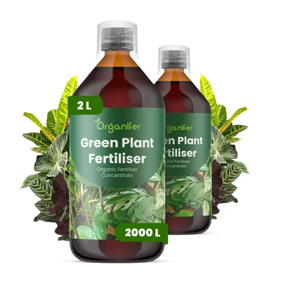 Obrázek produktu pro Green Plant Tekuté Hnojivo 2x1 L – 2-1-8 NPK – Pro Zelené Rostliny – Podporuje Silný Růst Listov & Rovnomerný Vývin – Organifer