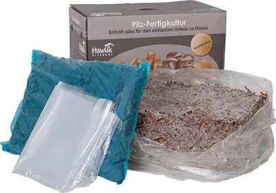 Produktbild von Hawlik Pilzbrut Champignon Mix Probierset klein – Pilze züchten Set je ca. 3–4 kg, +12 bis +18°C