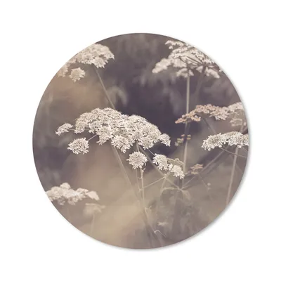 Produktbild von MuchoWow® Mauspad Mousepad Pflanze - Weiß - Natur - Blumen 40x40 cm - Mousepads - Maus Mat - Pad - Mausunterlage - Schreibtisch Accessoires