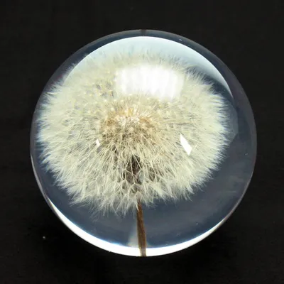 Image de Meander Bol, presse-papier "Paardenbloem", verre, diamètre 8 cm