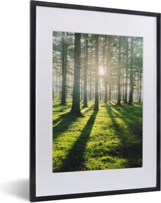 Produktbild von MuchoWow® Gerahmtes Poster Bäume - Natur - Wald 30x40 cm - Poster mit Schwarzem Bilderrahmen Wandposter Rahmen Foto Bilder - Wandposter Schlafzimmer