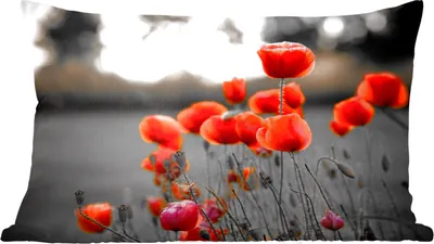 Produktbild von MuchoWow® Zierkissen Sofakissen Wohnzimmer Dekokissen 60x40 cm Rote Mohnblumen vor schwarzem und weißem Hintergrund - Kopfkissen - Polster mit Foto