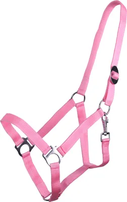 Produktbild von Halfter mit Schiebeschnalle Flamingo-Pink Mini Shetty