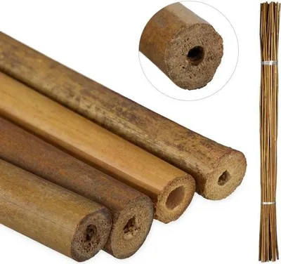 Immagine prodotto di Bastoncini di bambù da 120 cm in set da 40