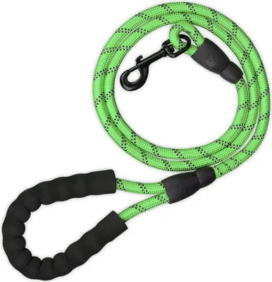 Produktbild von Relaxdays Hundeleine reflektierend, 150 cm, gepolsterte Schlaufe, Leine kleine & große Hunde, bis 50 kg, Nylon, grün