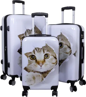 Produktbild von Hartschalen Reise Kofferset Trolleyset mit Dehnfalte (Gr. L+XL) und Motiv Baby Katze - Gr. M, L und XL