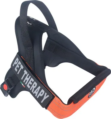 Produktbild von Tre Ponti TP1030 Linea Flash Label orange, Größe: M
