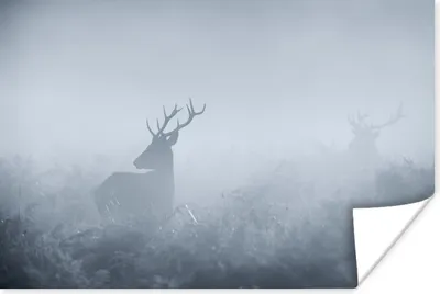 Produktbild von MuchoWow® Poster Hirsche - Nebel - Wald 180x120 cm - Fotoplakat