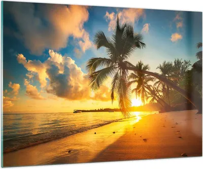 Produktbild von Bilder auf glas - Meer Strand Palme - 100x70cm - Glasbilder - Wandbilder - Kunstdruck - zum Aufhängen bereit - Wanddekoration aus Glas - Glas Bilder - Wandbild auf Glas - Einteilig - GAA100x70-3922