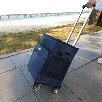 Imagen del producto de Nevera portátil con ruedas, plegable, de 40 litros, ideal para camping y picnics