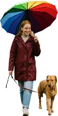 Produktbild von Taschenregenschirm Sturmfest mit Auf-Zu-Automatik – Windfester Klappschirm Ø 102 cm – 16 Streben kompakt & bunt – Reiseschirm für Damen und Herren