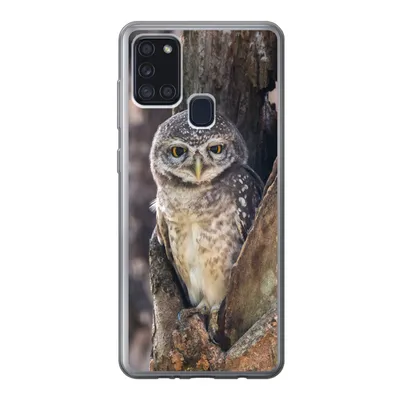 Produktbild von MuchoWow® Handyhülle Schutzhülle Hülle für Samsung Galaxy A21s Eule - Baum - Wald Silikon Softcase Handy Hülle - Hartschale