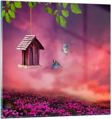 Produktbild von Bilder auf glas - Vögel Wiese Garten Dekoration - 40x40cm - Glasbilder - Wandbilder - Kunstdruck - zum Aufhängen bereit - Wanddekoration aus Glas - Glas Bilder - Wandbild auf Glas - GAC40x40-3115