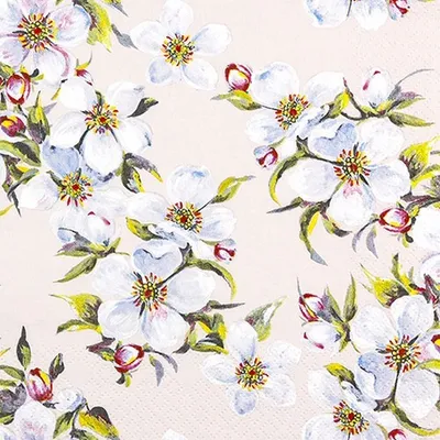 Produktbild von Servietten 33x33 cm - Spring Bloom