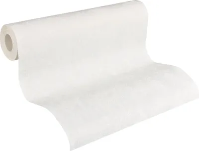 Produktbild von A.S. Création Vliestapete Meistervlies Pro Protect 2, weiss, überstreichbar, 10,05 m x 0,53 m, 167514, 1675-14