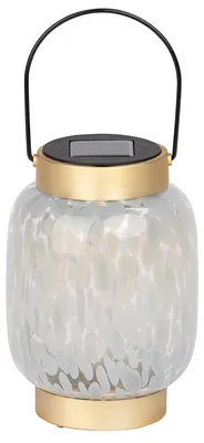 Produktbild von Dehner Solar-Laterne Lea, Gartenleuchte mit warmweißem Licht, Ø 12 cm, Höhe 17 cm, IP44, Glas / Metall, gold / transparent / grau