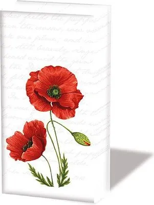 Produktbild von Taschentücher  21,5 x 22 cm – 4-lagig – á 10 Stück pro Packung –