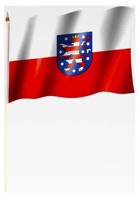 Produktbild von Stockflagge THÜRINGEN ca. 30 x 45 cm mit 60 cm Stab