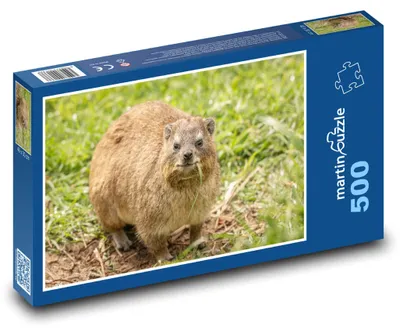 Obrázok produktu pre Puzzle 500 Damán na zelenej lúke - martinpuzzle