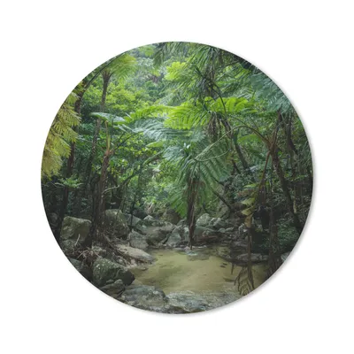 Produktbild von MuchoWow® Mauspad Mousepad Fluss im tropischen Dschungel 50x50 cm - Mousepads - Maus Mat - Pad - Mausunterlage - Vinyl