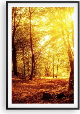 Produktbild von Gerahmtes Poster - Schwarzer Rahmen - Wald Baum Natur - 61x91,5 cm - Wand Bild - Wanddeko - Wandbilder - Kunstposter - Wandposter - Bilderrahmen - Bilder - Kunstdruck - Wandbild - P2BPA61x91-3722