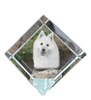 Obrázok produktu pre Spitz japonais kryštálová kocka so psom Art-Dog