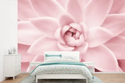 Produktbild von MuchoWow® Fototapete für Wohnzimmer oder Schlafzimmer Wandtapete Vinyl Motivtapete Blume - Rosa - Natur - Pflanze - 600x400 cm - Vinyltapeten