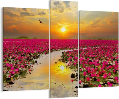 Produktbild von Bild auf Leinwand - Leinwandbild - See Blumen - 95x80cm - Wand Bild - Wanddeko - Wandbilder - Leinwanddruck - Bilder - Kunstdruck - Wanddekoration - Leinwand bilder - Wandkunst - CB95x80-3769