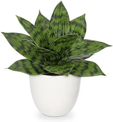 Image de Sansevieria artificielle, petite, imitation, décorative, plante de table, plante d'intérieur, verte, plante artificielle