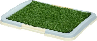 A pet toilet tray with artificial grass.