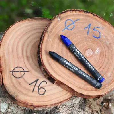 Produktbild von STAEDTLER Signierkreide Lumocolor permanent omnigraph, rot, Menge: 1 Stück