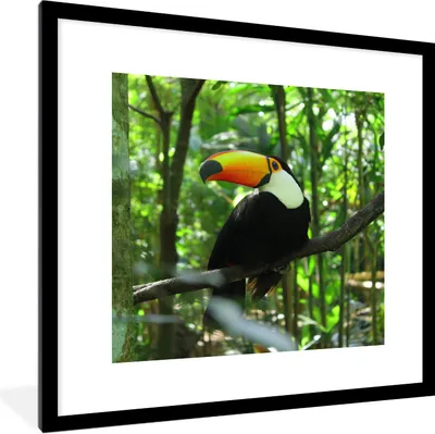 Produktbild von MuchoWow® Gerahmtes Poster Tukan im Baum 40x40 cm - Poster mit Schwarzem Bilderrahmen Wandposter Rahmen Foto Bilder - Poster - Plakat im Rahmen