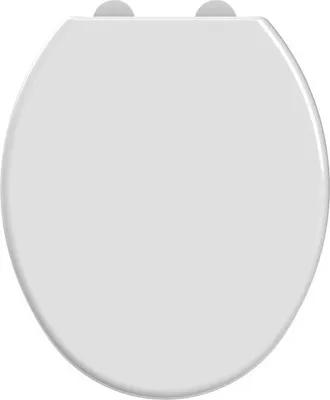 Immagine prodotto di Allibert Allibert Kaleo sedile per wc bianco lucido