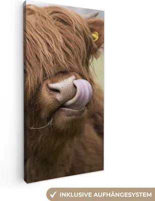 Produktbild von MuchoWow® - Leinwandbilder - Schottischer Highlander - Braun - Tiere, Wandbild, Wanddeko Bilder Wohnzimmer, 20x40 cm