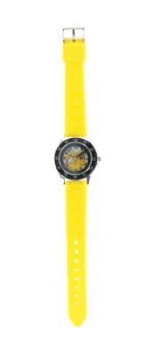 Image de Disney Pokemon Time Teacher