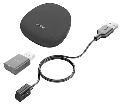 Productafbeelding van Yealink 1208649 Yealink Portable Accessory Kit for WH62/66