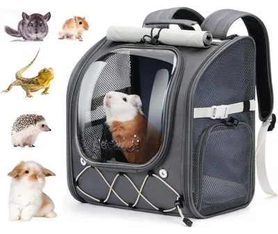 Image de Cage de transport pour chats et lapins, jusqu'à 4 kg, avec fenêtre de visualisation, couleur grise, dimensions 32x22x36 cm