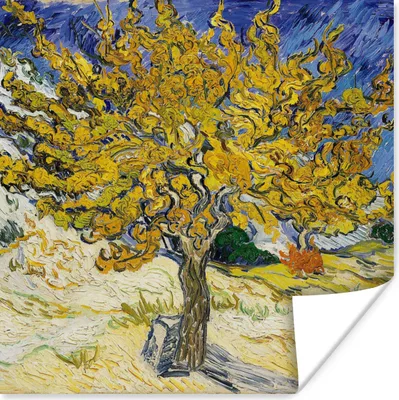 Produktbild von MuchoWow® Poster Maulbeerbaum - Vincent van Gogh 50x50 cm - Wohnzimmerdekoration