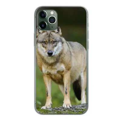 Produktbild von MuchoWow® Handyhülle Schutzhülle Hülle für iPhone 11 Pro Max Wolf - Asien - Pflanzen Silikon Softcase Handy Hülle - Schutz