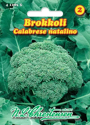 Produktbild von Brokkoli Calabrese natalino | Brokkolisamen von N.L. Chrestensen