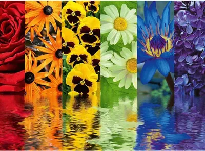 Obrázok produktu pre Ravensburger 12000213, 500 kusov, Flóra, 10 rok / roky