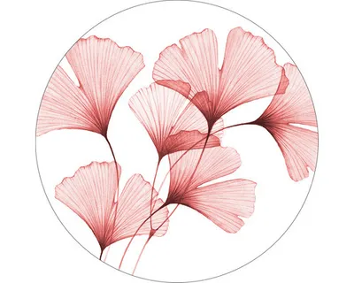 Produktbild von Glasbild Transparent leaves I Ø 50 cm