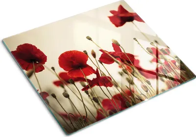 Produktbild von Glasplatte zum Schutz der Kochfläche – Abdeckung für die Kochplatte – Abdeckung für Induktionskochfelder – 60x52 cm – Einfache Reinigung – Gehärtetes Glas – Motiv: Mohnblumen