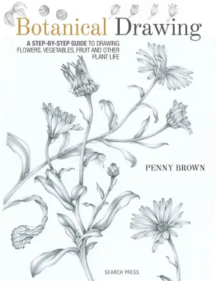 Image de Botanical Drawing