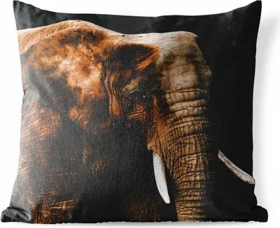 Produktbild von MuchoWow® Outdoor Kissen - Elefant - Tiere - Braun - 45x45 cm - Wetterfest - Lounge Kissen - Fotokissen - Dekoratives Kissen