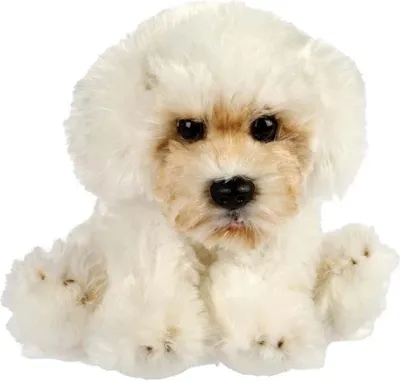 Produktbild von Malteser Doodle Kuscheltier Hund weiß Plüschtier Schnuffelhund INDY